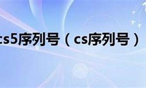 CS序列号_cs序列号永久激活_1