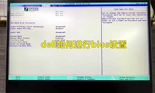 dell如何进入bios界面初始化_dell 进入bios设置