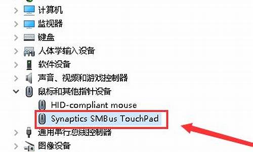 触摸板驱动是哪一个_触摸板驱动是哪一个键