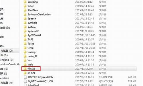 winsxs里面的文件可以删除吗_winsxs可以删除吗,小编教你winsxs文件夹可以删除吗